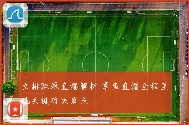 女排欧冠直播解析 章鱼直播全程呈现关键对决看点