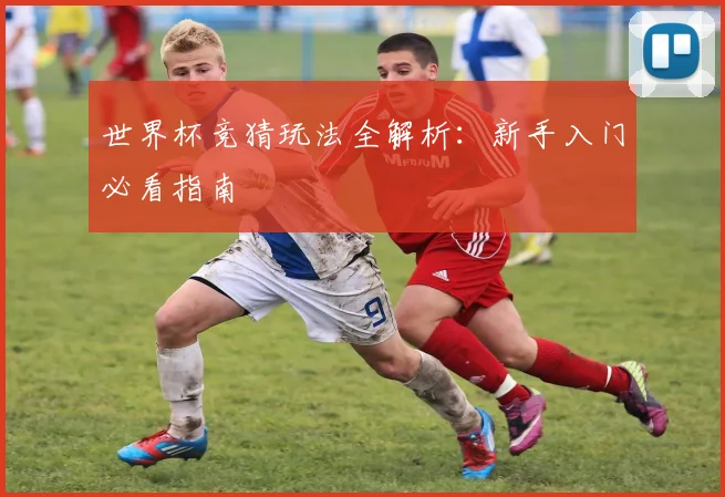 世界杯竞猜玩法全解析：新手入门必看指南
