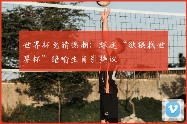 世界杯竞猜热潮：球迷“欲钱找世界杯”暗喻生肖引热议