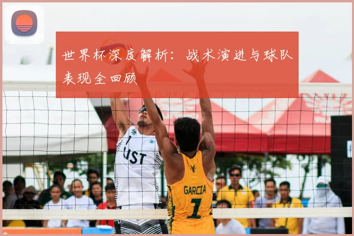 世界杯深度解析：战术演进与球队表现全回顾