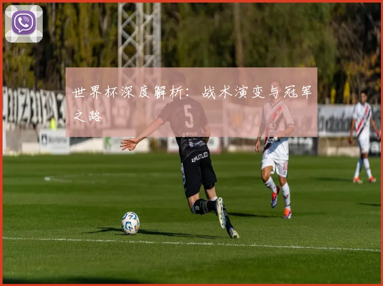 世界杯深度解析：战术演变与冠军之路