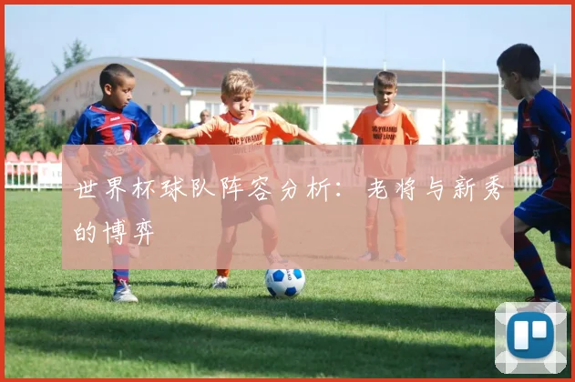世界杯球队阵容分析：老将与新秀的博弈