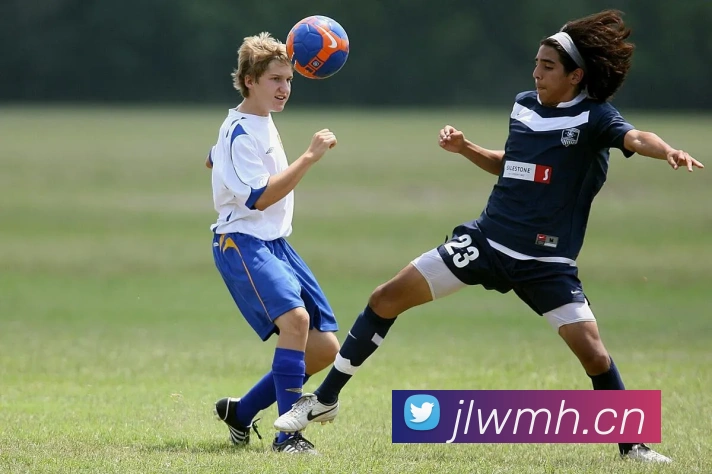 App Interface Preview